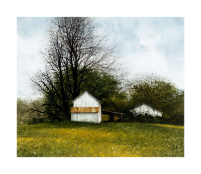 Old Carport by Miguel Dominguez Pricing Limited Edition Print image