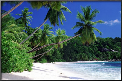 Mahe Island, Seychelles by Jose Fuste Raga Pricing Limited Edition Print image