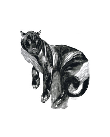 Panther I by Art Deco Pricing Limited Edition Print image