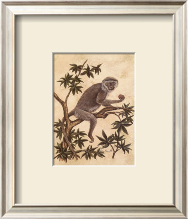 Monkey In A Tree I by Dianne Krumel Pricing Limited Edition Print image