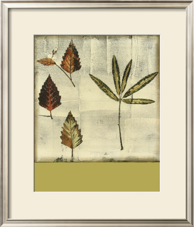 Leaf Etching Iv by Nancy Slocum Pricing Limited Edition Print image