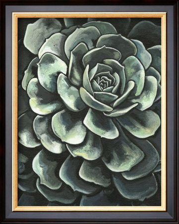 Lunar Succulent Ii by Megan Meagher Pricing Limited Edition Print image