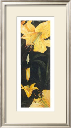 Time Of Flowering I by C. Meredith Pricing Limited Edition Print image