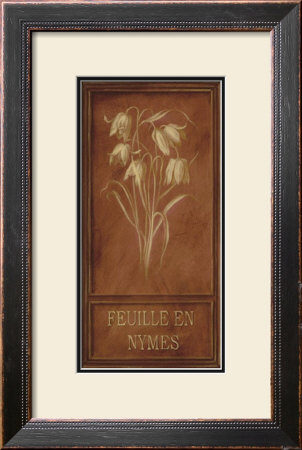 Feuille En Nymes by Stela Klein Pricing Limited Edition Print image