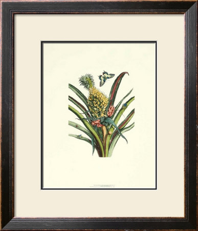 Nature's Bounty Ii by Maria Sibylla Merian Pricing Limited Edition Print image