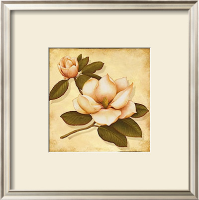 Gold Magnolia I by Daphne Pricing Limited Edition Print image