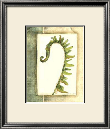 Fiddlehead Collage Iv by Jennifer Goldberger Pricing Limited Edition Print image