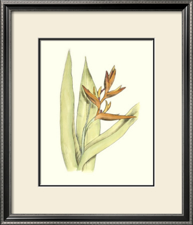 Elegant Tropics V by Jennifer Goldberger Pricing Limited Edition Print image