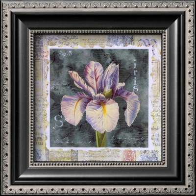 Iris Bloom by G.P. Mepas Pricing Limited Edition Print image