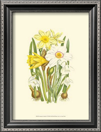 Summer Garden I by Anne Pratt Pricing Limited Edition Print image
