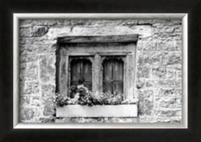 Window Flowers by Laura Denardo Pricing Limited Edition Print image