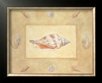 Shells I by Bell Pricing Limited Edition Print image