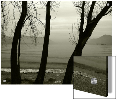 Misty Evening In Lago Maggiore, Italy, In Sepia by I.W. Pricing Limited Edition Print image