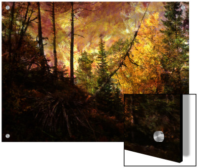 Scene Deep In The Evergreen Forest by L.B. Pricing Limited Edition Print image