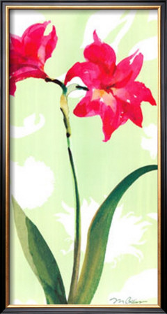Asian Lily by Martha Collins Pricing Limited Edition Print image