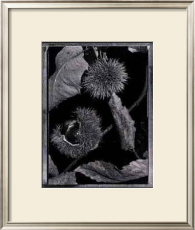 Chestnuts by Augusto Camino Pricing Limited Edition Print image