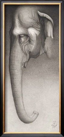 Toni, The Elephant by Caldwell Pricing Limited Edition Print image