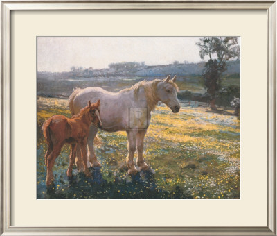 Mare And Foal In A Field Of Buttercups by Sir Alfred Munnings Pricing Limited Edition Print image