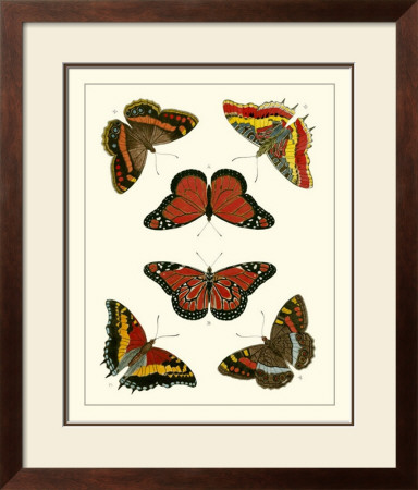 Butterflies I by Pieter Cramer Pricing Limited Edition Print image