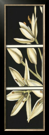 Graphic Lily I by Jennifer Goldberger Pricing Limited Edition Print image