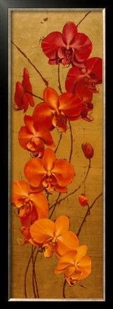 Golden Orchids I by Kenneth Catlett Pricing Limited Edition Print image