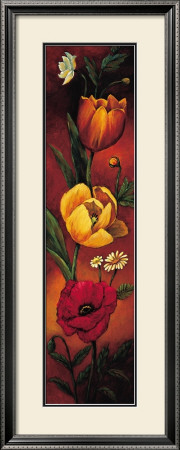 The Flower Garden Ii by Brian Francis Pricing Limited Edition Print image