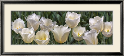 Eleven White Tulips by Edward Loedding Pricing Limited Edition Print image