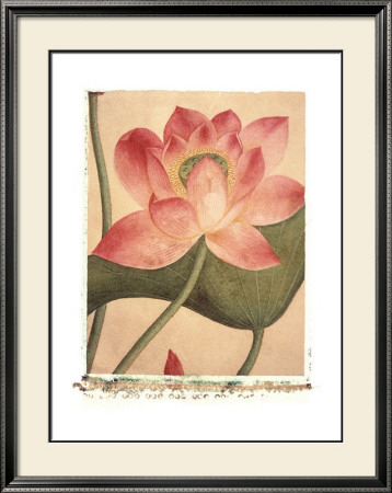 Lotus Flower by Deborah Schenck Pricing Limited Edition Print image