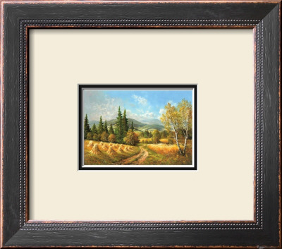 Sommer In Bohmen by Helmut Glassl Pricing Limited Edition Print image