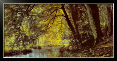 River Through The Woods by Christian Zacho Pricing Limited Edition Print image