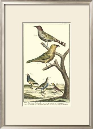 Bird Family Ii by Martinet Pricing Limited Edition Print image