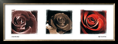 Rose Trio by Ilona Wellmann Pricing Limited Edition Print image