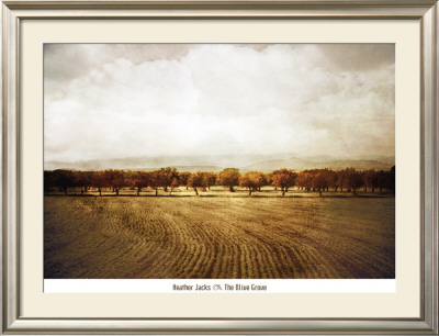 The Olive Grove by Heather Jacks Pricing Limited Edition Print image