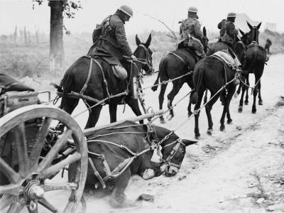 Battle Of The Drocourt-Queant Line 1918 by Robert Hunt Pricing Limited Edition Print image