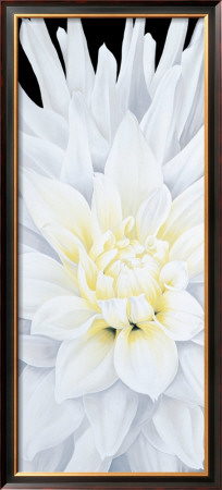 Dahlia by Sudarsa Pricing Limited Edition Print image