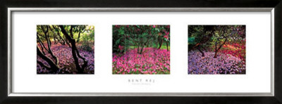 Fallen Petals by Bent Rej Pricing Limited Edition Print image