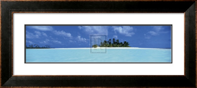 Island Tropics by Nathan Secker Pricing Limited Edition Print image