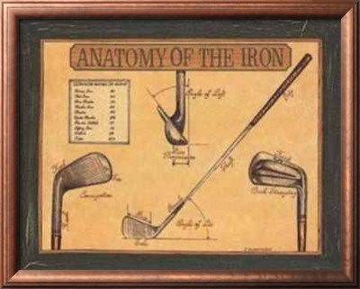 Anatomy Of The Iron by Jennifer Pennington King Pricing Limited Edition Print image