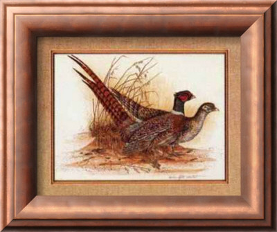 Game Birds I by B. Winstead Pricing Limited Edition Print image