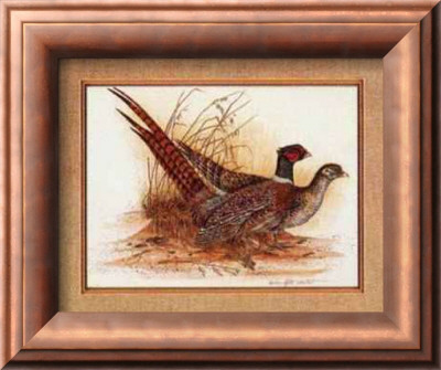 Game Birds I by B. Winstead Pricing Limited Edition Print image