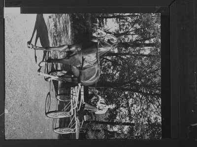 Jimmy Stewart Holding Reins As He Drives His Dad's One-Horse Sleigh Along Vinegar Hill by Peter Stackpole Pricing Limited Edition Print image