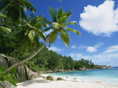 Beach, Anse Intedanse, Mahe, Seychelles, Indian Ocean, Africa by Robert Harding Pricing Limited Edition Print image