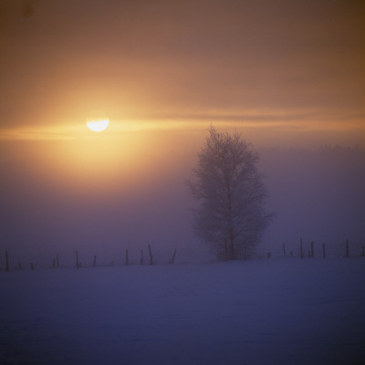 Winter Sunset by Ove Eriksson Pricing Limited Edition Print image