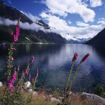 A Fjord by Lars Dahlstrom Pricing Limited Edition Print image