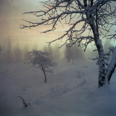 Winter Landscape, Sweden by Mikael Andersson Pricing Limited Edition Print image