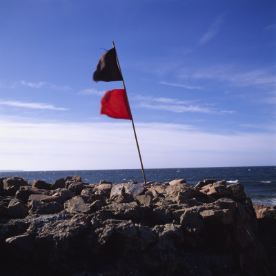 Warning Flags By The Beach by Mikael Bertmar Pricing Limited Edition Print image