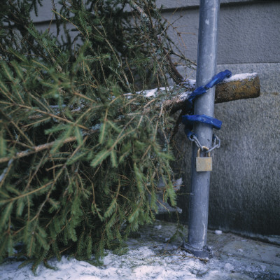 A Christmas Tree Attached To A Lamp Post by Otmar Thormann Pricing Limited Edition Print image