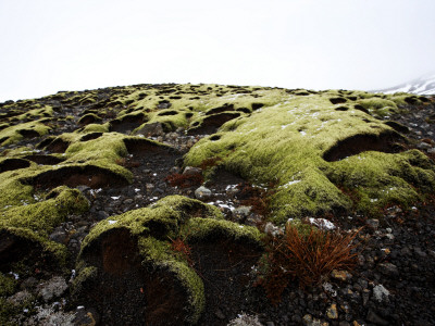 Moss Covered Rocks On A Hill by Atli Mar Pricing Limited Edition Print image