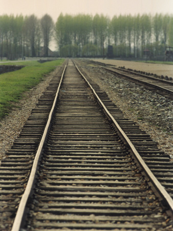 Train Tracks And Trees by Anders Lindh Pricing Limited Edition Print image