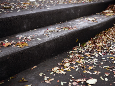 Steps Covered In Autumn Leaves, Iceland by Gunnar Svanberg Skulasson Pricing Limited Edition Print image
